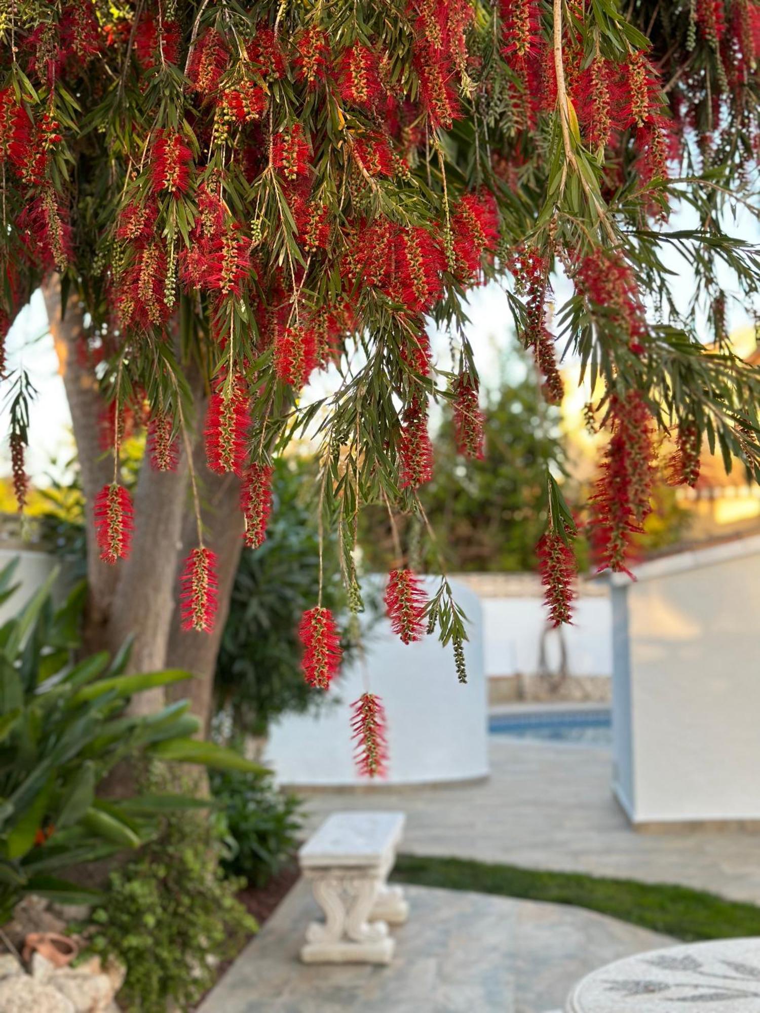 Villa La Duna De *